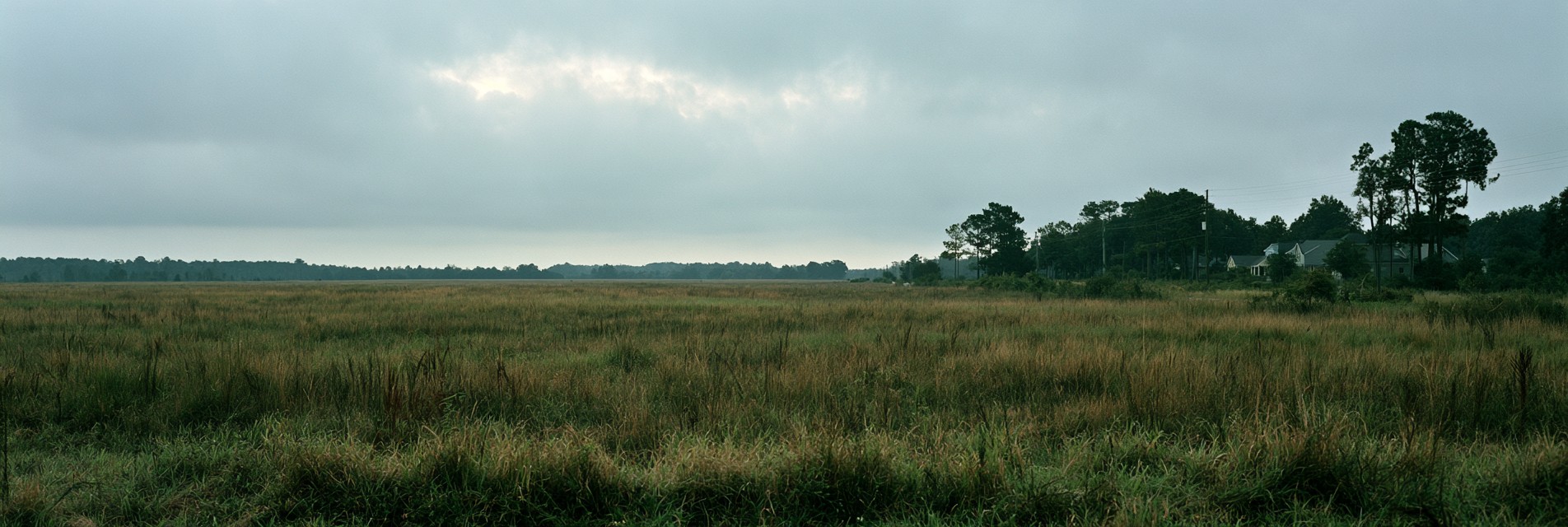 A large open tract of rough grassland at the edge of a residential neighborhood on an overcast afternoon